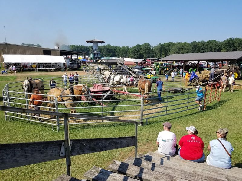 This FarmPark Turns July Into A Full-Blown Throwback