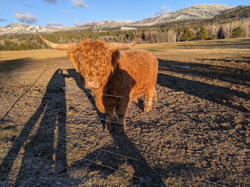 Long Mountain Meadows