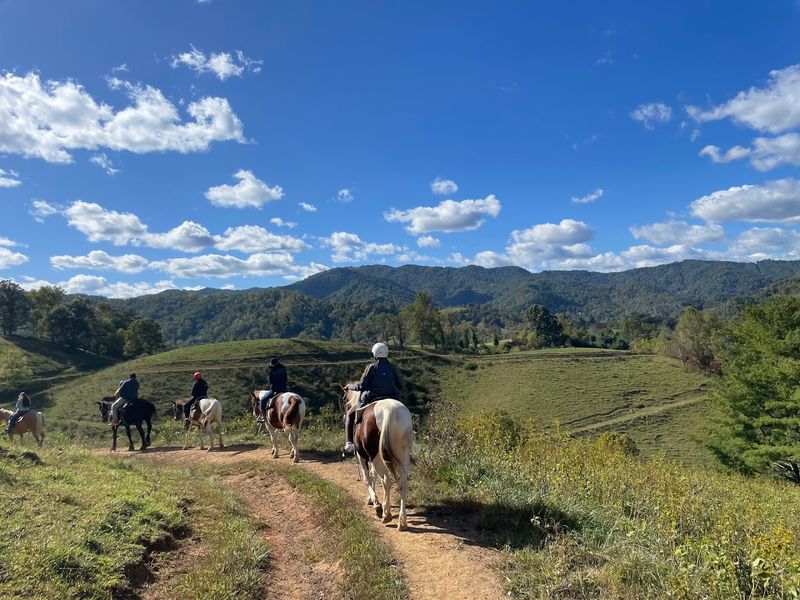 Sandy Bottom Trail Rides