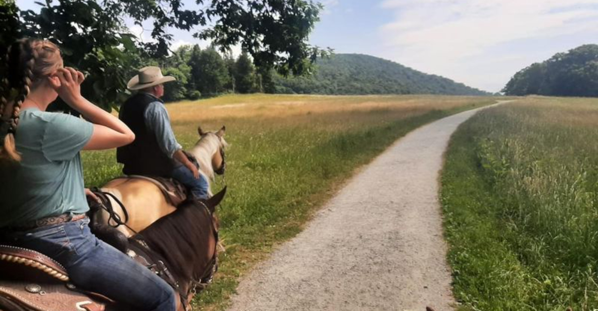 8 Dreamy Places To Ride Horses In North Carolina Including The Mountains - Decor Hint