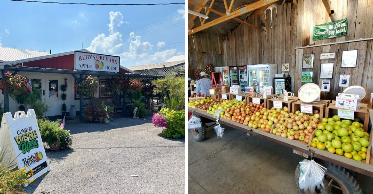 8 Kentucky Produce Stands Serving The Flavors Of A Classic Summer - Decor Hint