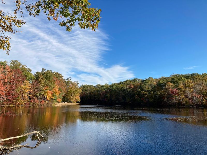 Green Falls Pond At Pachaug State Forest, Voluntown
