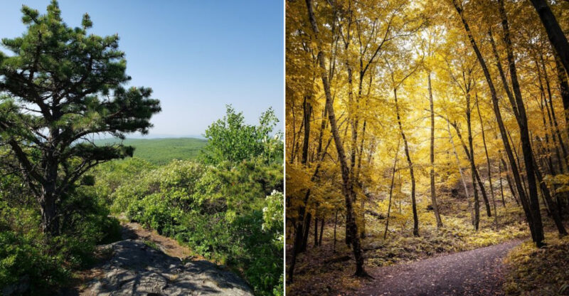 8 Stunning Connecticut Day Hikes That Will Make You Forget About Your Phone