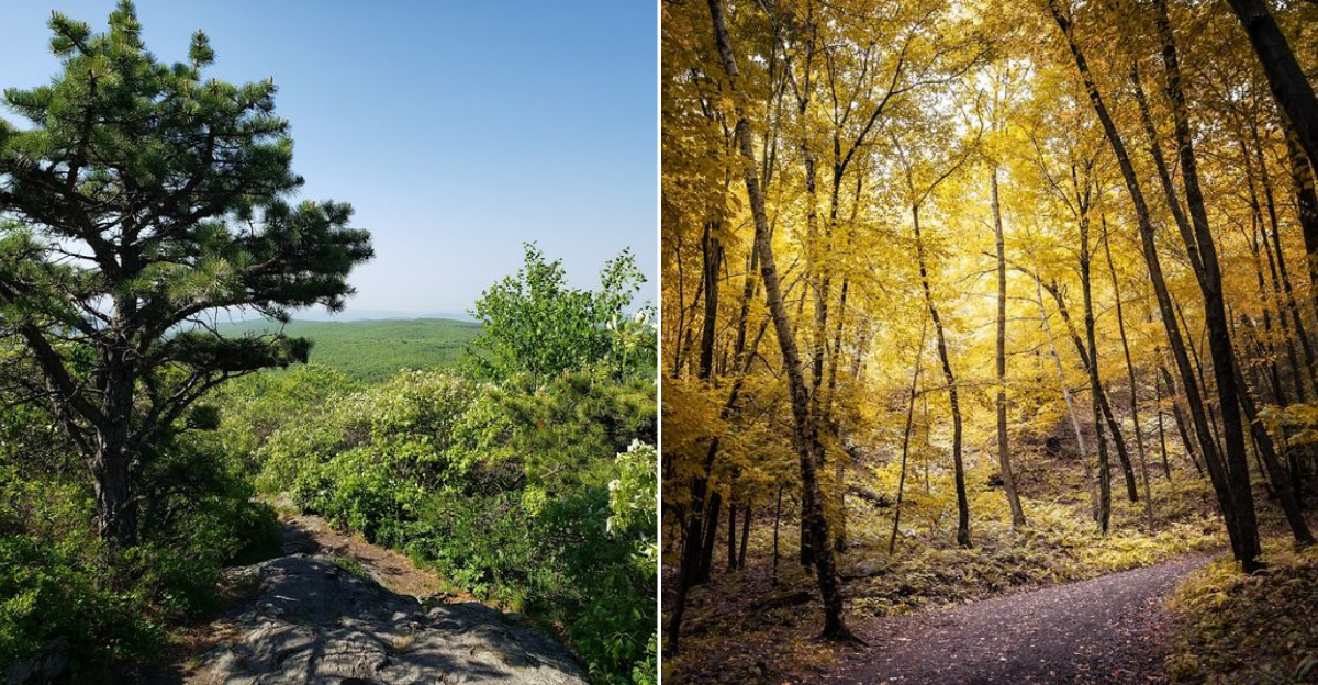 8 Stunning Connecticut Day Hikes That Will Make You Forget About Your Phone - Decor Hint