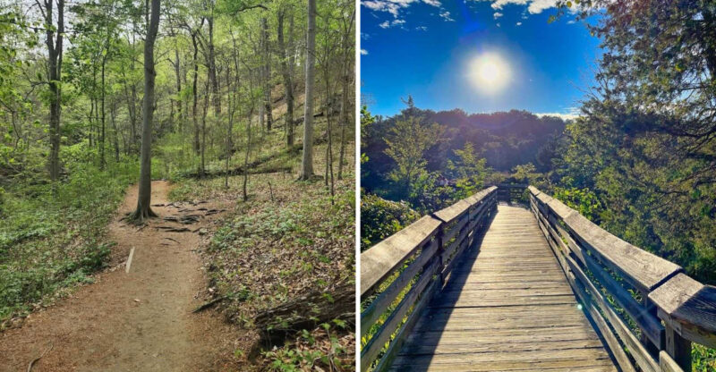 8 Unforgettable Maryland Hikes Under 5 Miles The Whole Family Will Love