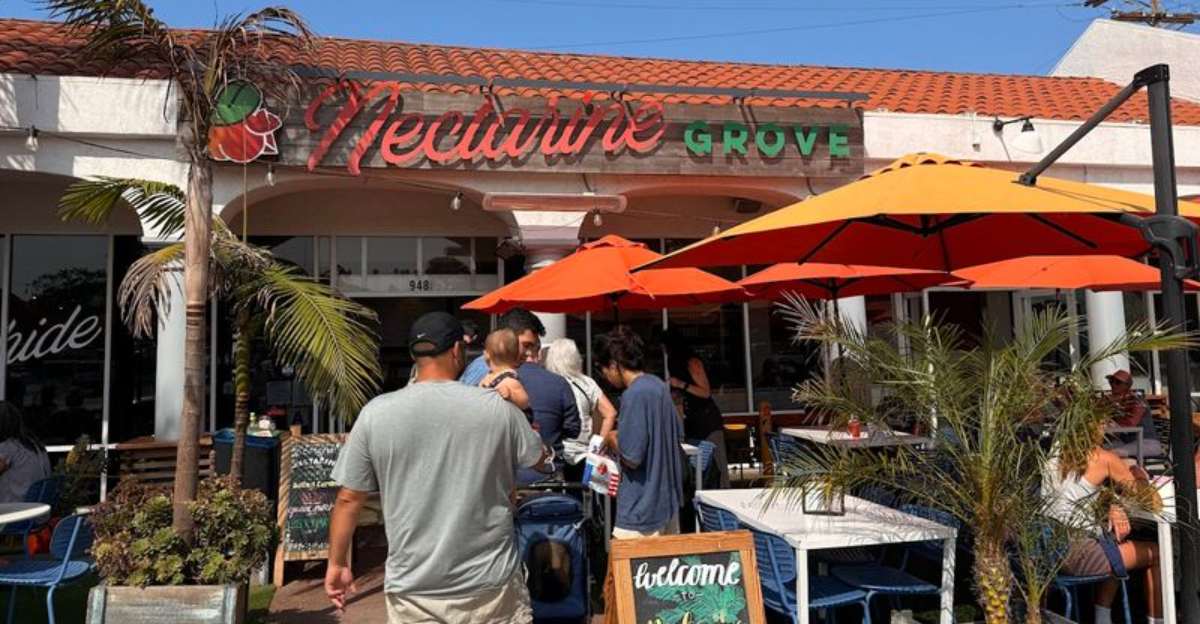 9 California Gluten Free Restaurants So Good They Deserve A 2026 Road Trip - Decor Hint