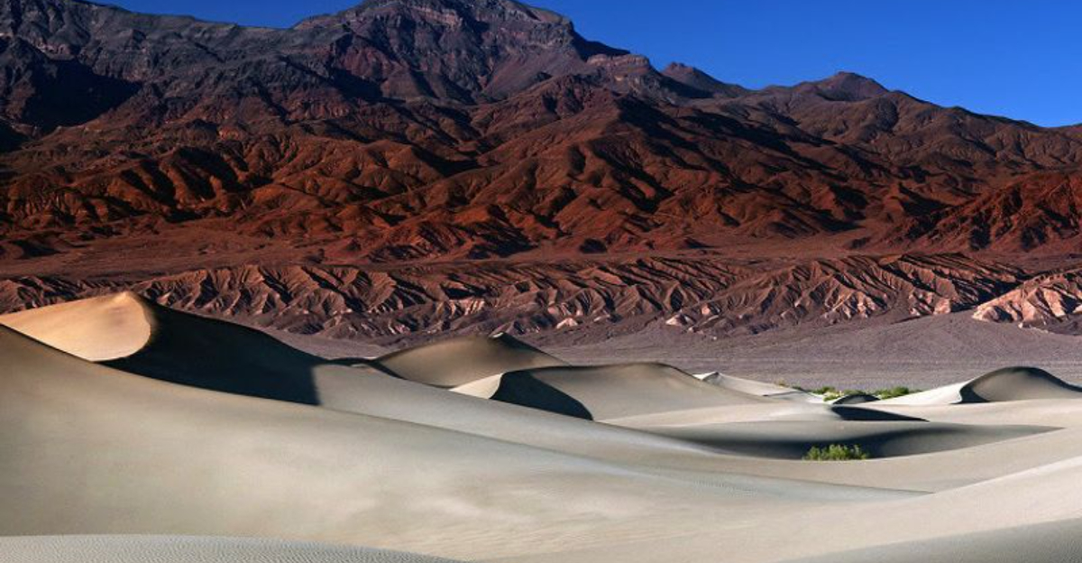 9 California Sand Dunes And Windswept Nature Areas That Feel Like Another Planet - Decor Hint