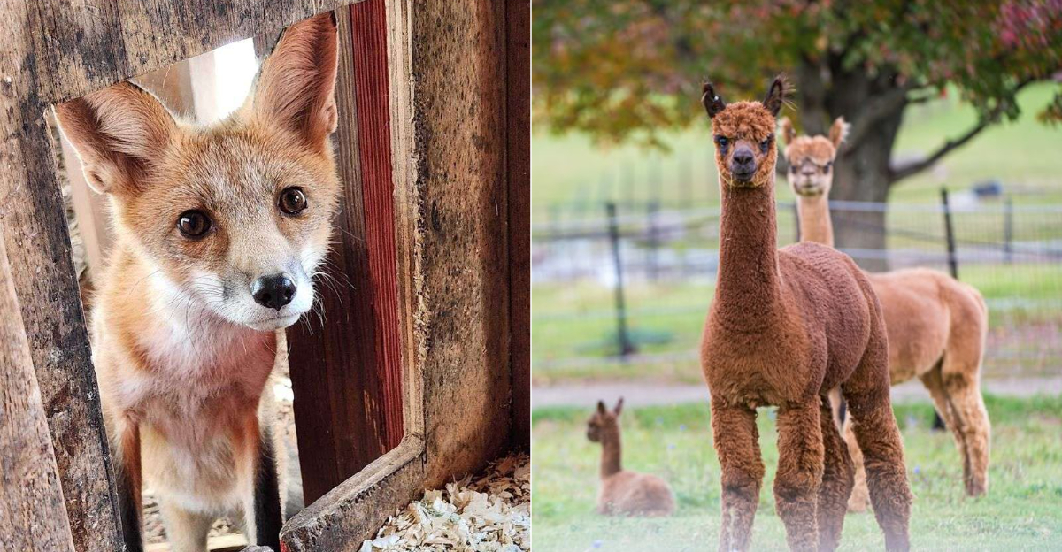 9 Connecticut Wildlife Adventures Families Will Be Talking About For Weeks - Decor Hint