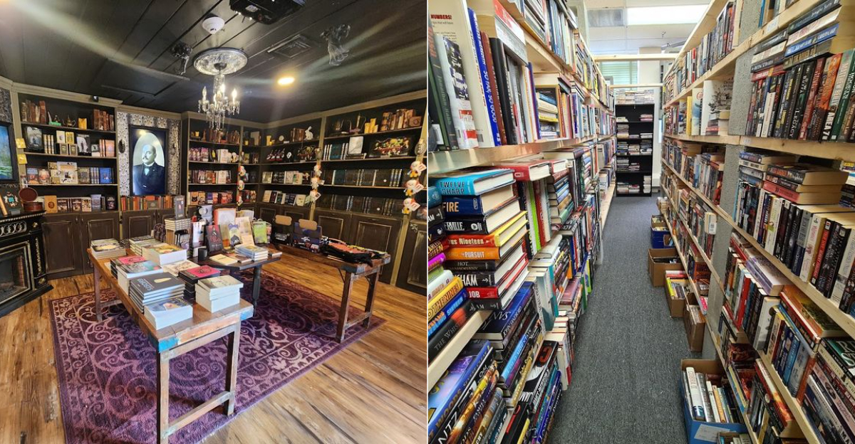 9 Hidden Bookstores In Connecticut That Deserve A Spot On Every Readers Must Visit List - Decor Hint