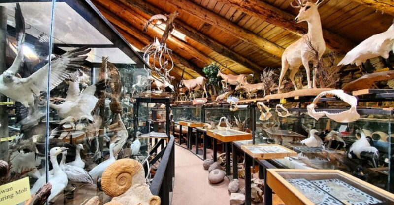 9 Idaho Roadside Stops Where The Gift Shop Is Oddly Hard To Leave Empty-Handed
