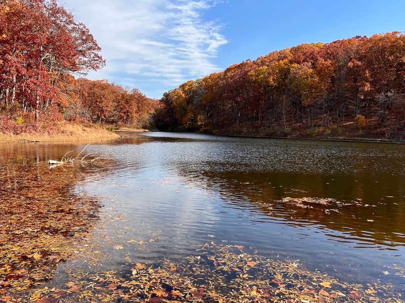 Lake Lincoln Beach