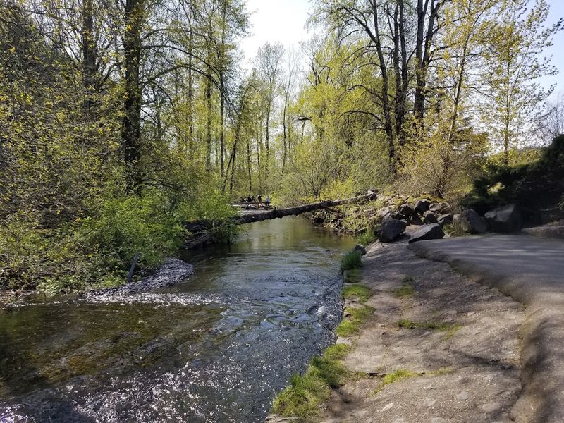 Columbia River Gorge & Multnomah Falls