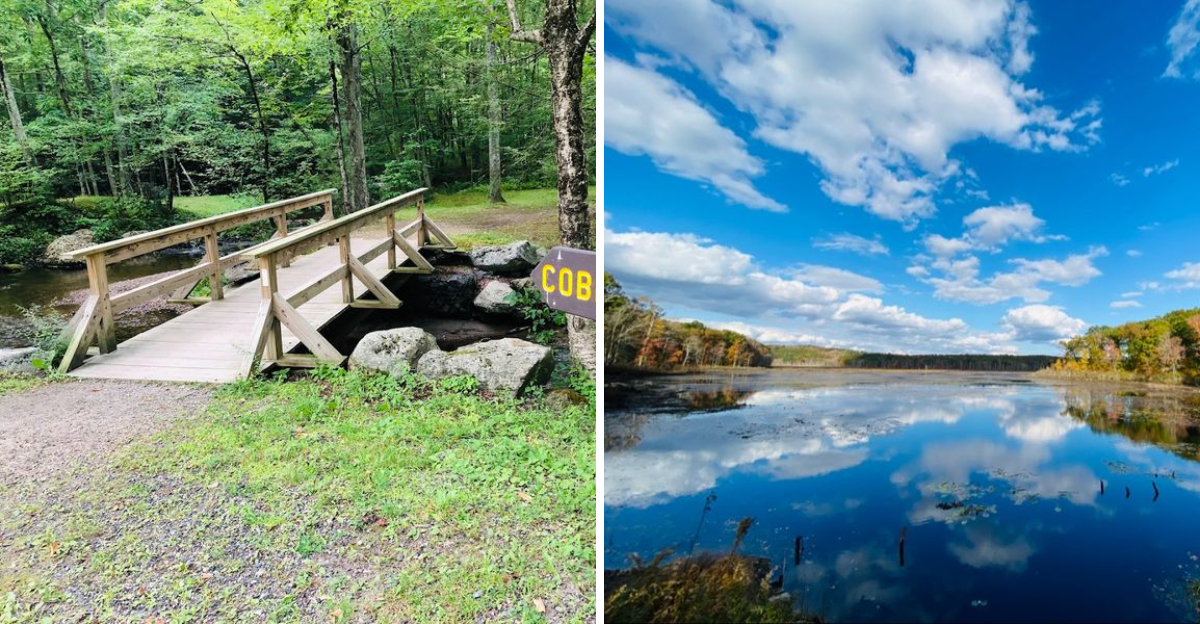 9 Peaceful Hiking Trails In Connecticut Visitors Rarely Discover - Decor Hint