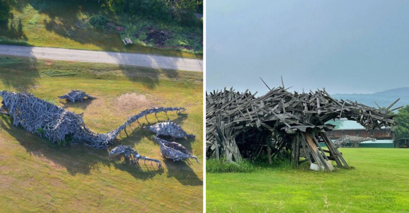 A 25-Foot Dinosaur Made Entirely Of Scrap Wood Is Hiding In A Vermont Field