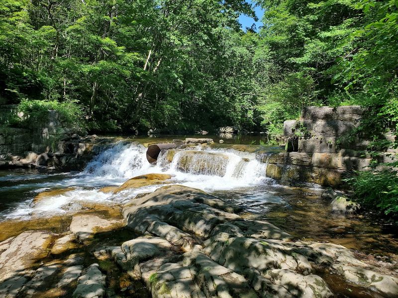 This Hidden Connecticut Park Feels Like It Belongs To Another Era - Decor Hint Free Admission And Open Every Single Day