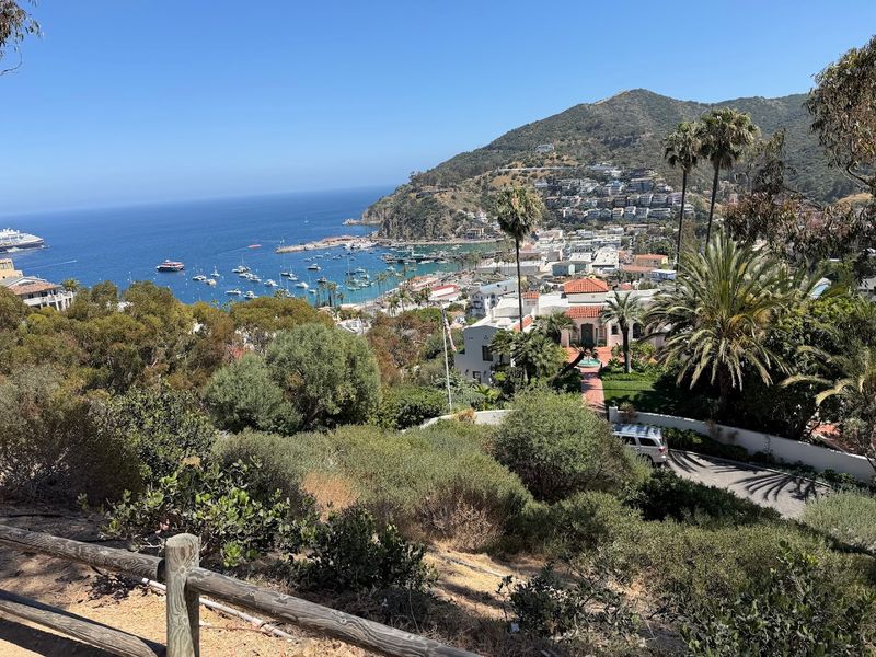 Avalon Is The Easy Gateway Into Bison Country