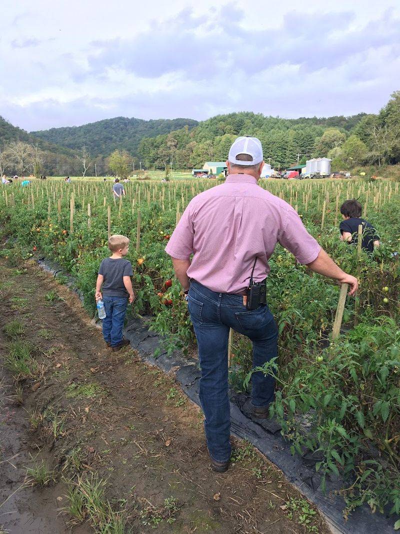 Kids Get A Real Working-Farm Moment
