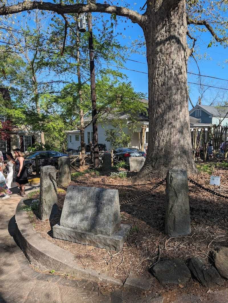 There Is An Ancient Tree In Georgia That Legally Owns Itself And The Ground Around It - Decor Hint Free To Visit With No Admission Cost