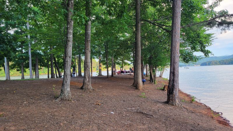 Natural Beauty That Reminds Families Why Outdoor Time Matters