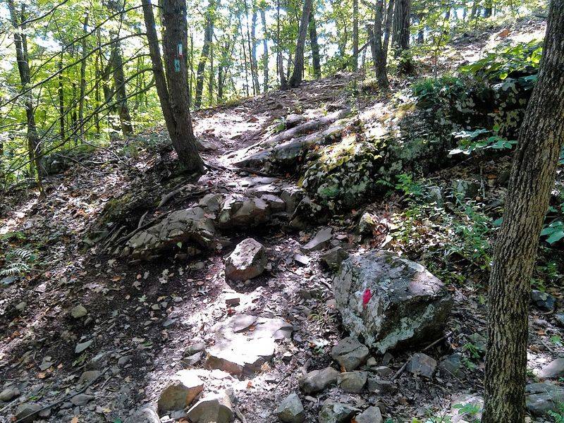 Rugged Climbs That Keep The Hike Exciting