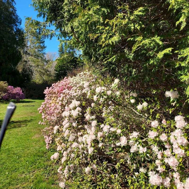 This Rhode Island Garden Feels Like A Quiet World Of Its Own - Decor Hint What The Grounds Actually Look Like