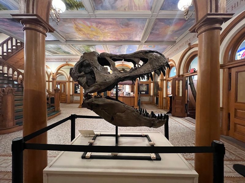 Rhode Island Is Home To A Museum That Feels Like Two Worlds In One - Decor Hint Fossils That Stop You Cold