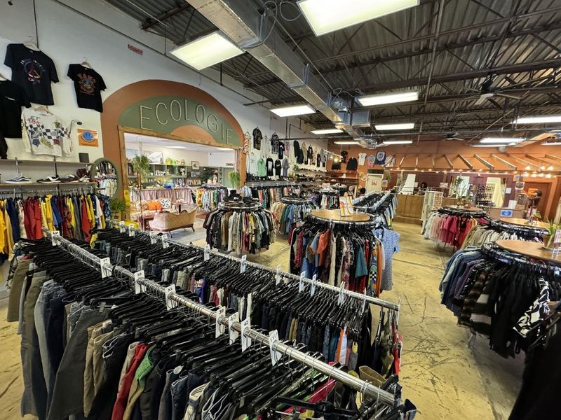 Organized Layout That Makes Shopping Feel Effortless