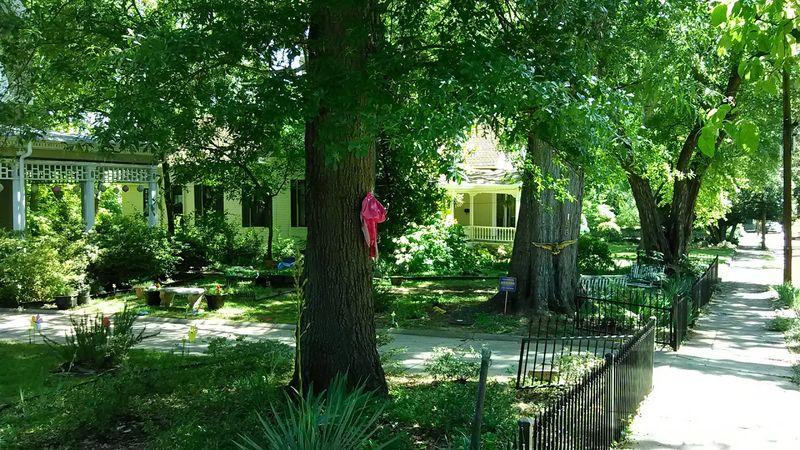There Is An Ancient Tree In Georgia That Legally Owns Itself And The Ground Around It - Decor Hint A Beautiful Residential Neighborhood Worth Exploring