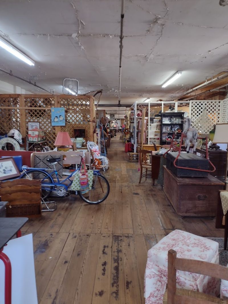 Taxidermy And Vintage Fur Pieces