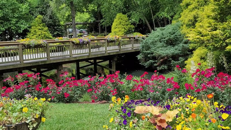 Friendly And Knowledgeable Staff Who Genuinely Enhance Every Visit