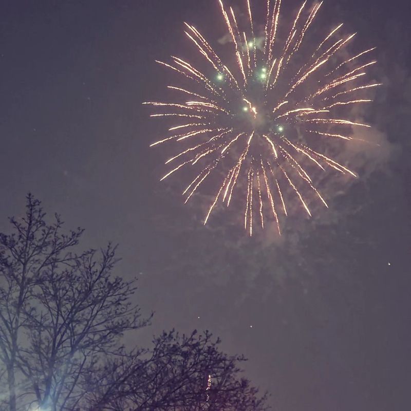 A Festive Evening With Fireworks In The Park