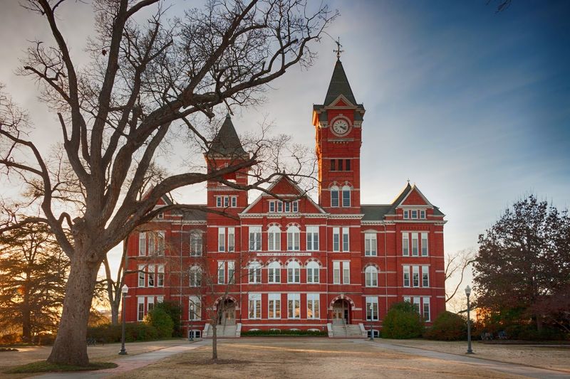 The Coffee Trail That Connects Auburn's Best Cafés