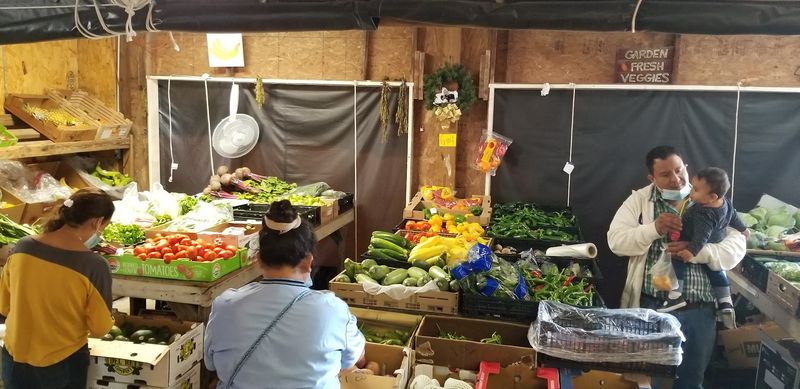 Fresh Vegetables And Farm-Style Finds