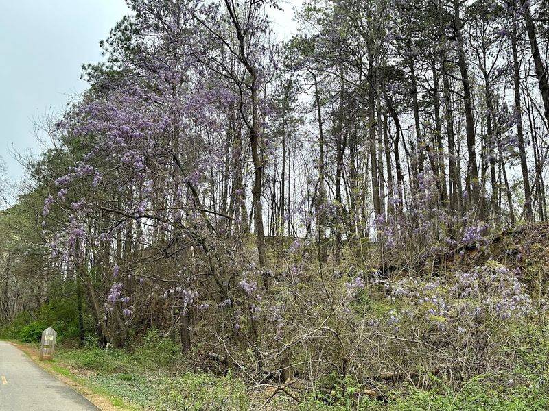 Seasonal Changes That Keep The Trail Feeling Fresh Year-Round