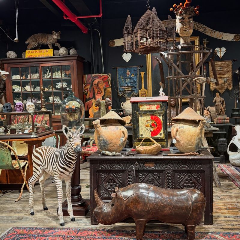 A Connecticut Antique Shop With The Kind Of Odd Finds You Won't See Anywhere Else - Decor Hint A Bridgeport Shop Full Of Curiosities