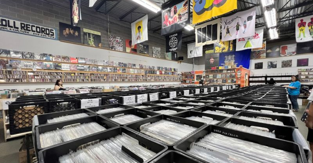 A Connecticut Record Store Where Music Lovers Can Dig Through Vinyl CDs And Hidden Finds - Decor Hint
