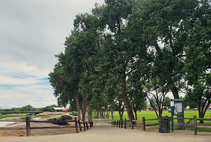 Cole Park And Outdoor Calm