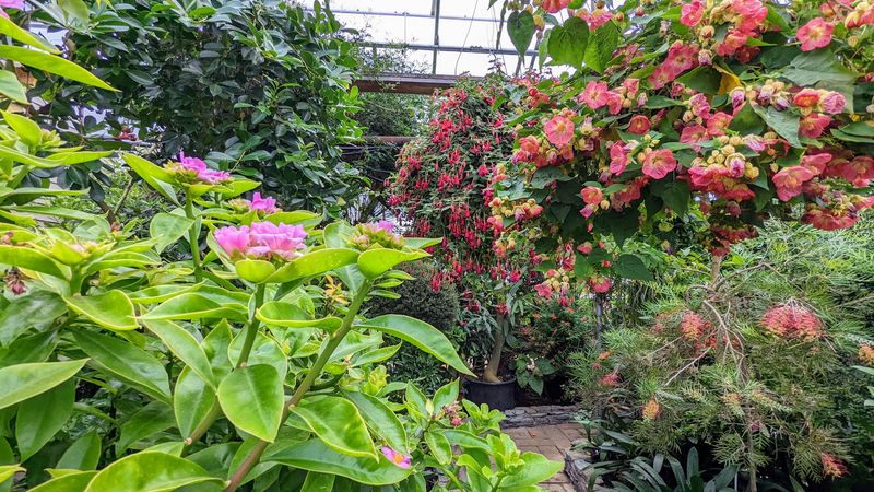 Colorful Blooms In Every Direction