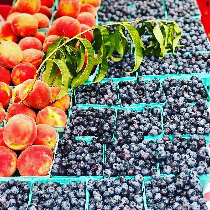 More Than Just Blueberries At This Spot