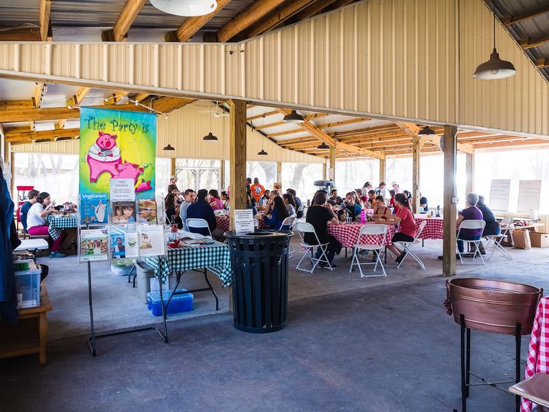 The Gift Shop And On-Site Extras