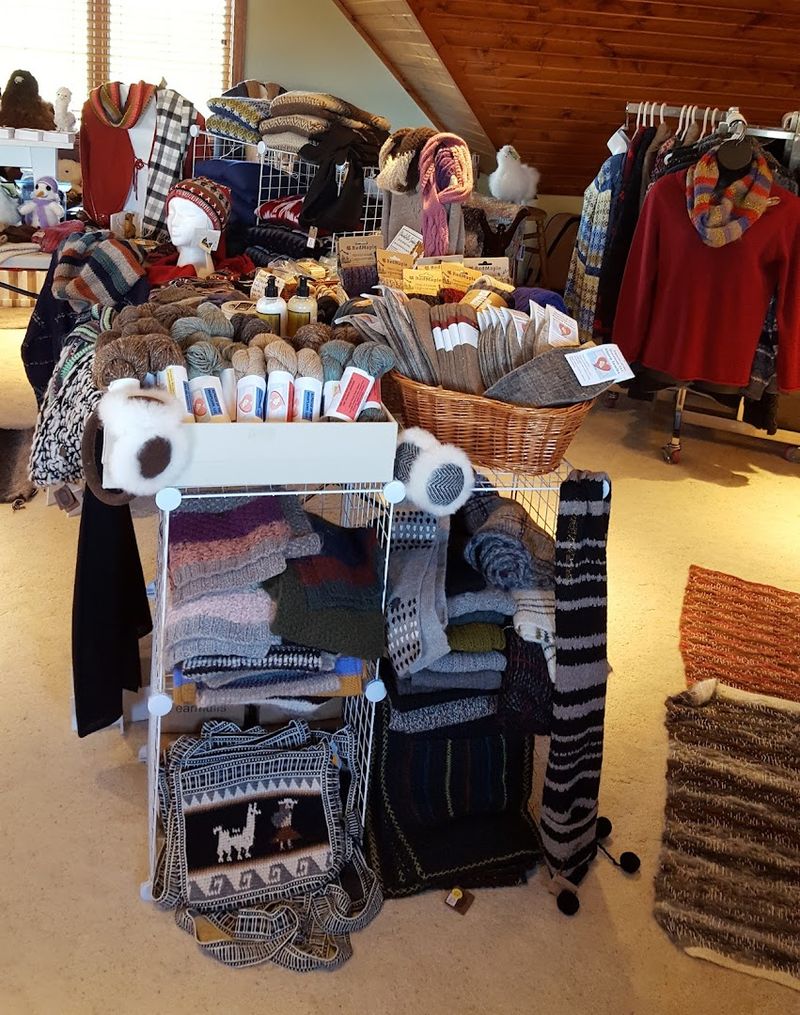 Alpaca Fiber, Farm Goods, And A Shop Worth Browsing