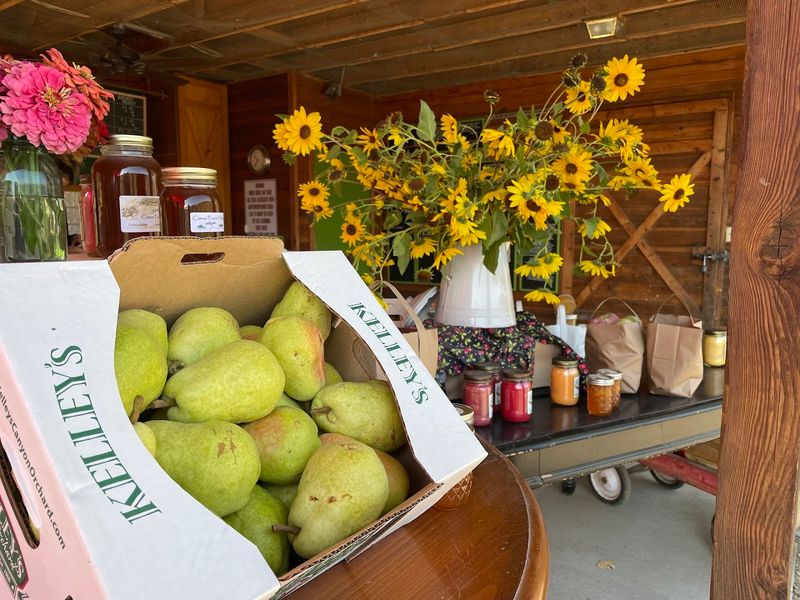 Visitors Can Pick Their Own Late-Summer Pears At This Family Idaho Orchard - Decor Hint Late-Summer Pears Worth The Trip