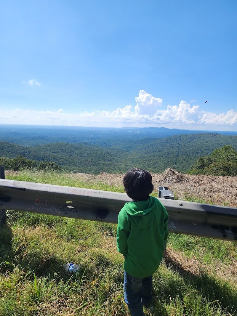 No Hiking Required To Reach The View