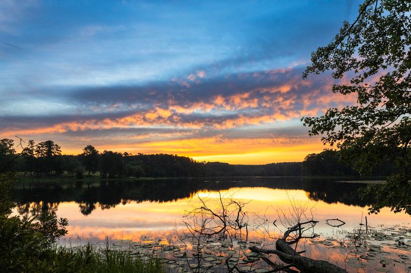 The Lake Is Pure Magic