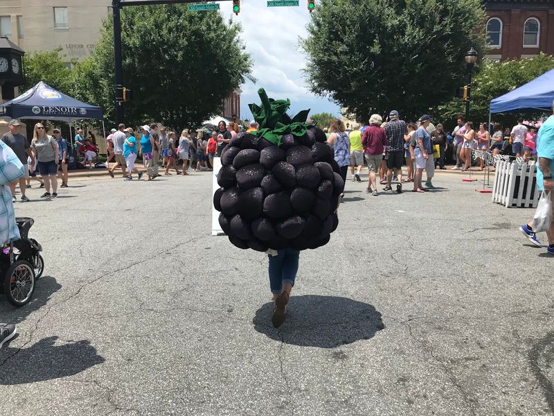 The Giant Blackberry Cobbler Is The Main Character Here