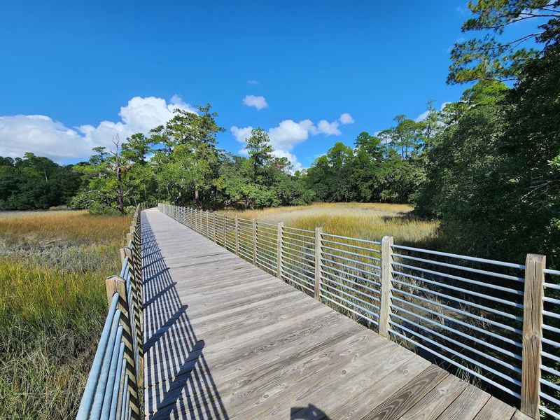 Scenic Marsh Trails Along The Ashley River