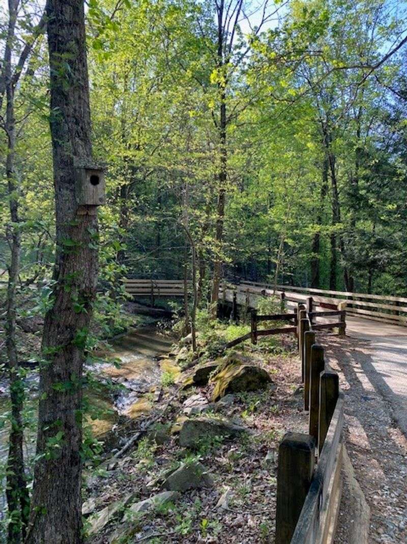 Wildlife Encounters Along The Trail