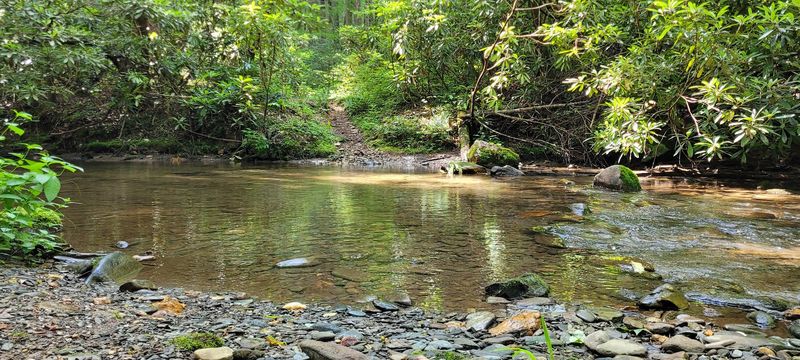 Ideal Conditions For Nature Photography At Any Skill Level