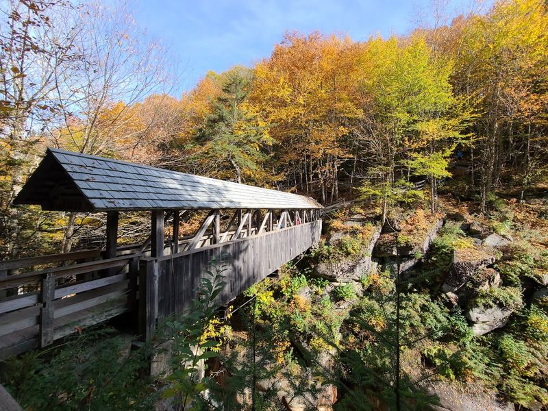 The Covered Bridge With Roots In History