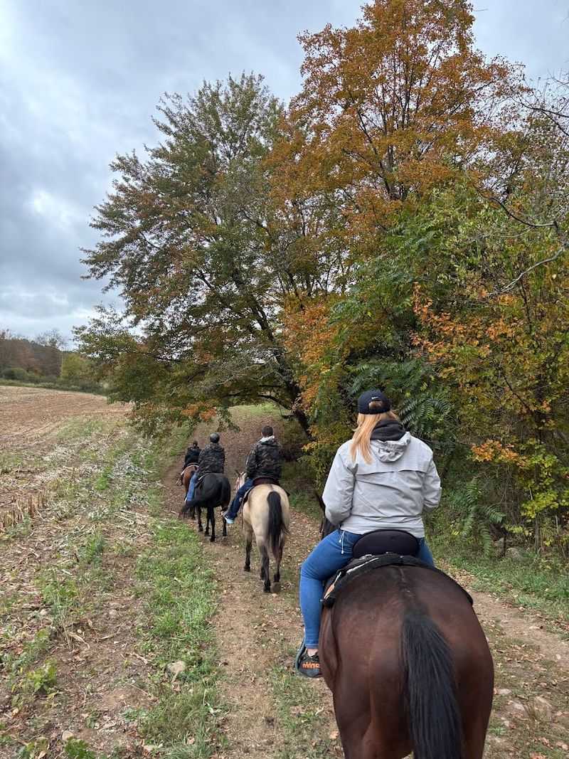 Pony Rides For Younger Visitors
